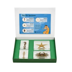 Acrylic Specimens Sealife - Set of 4