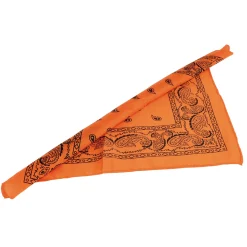 Bandanas/Orange