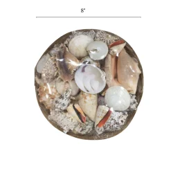 8" Basket of Shells