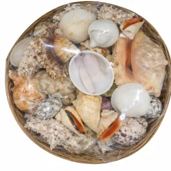 8" Basket of Shells