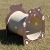 Bear Tunnel