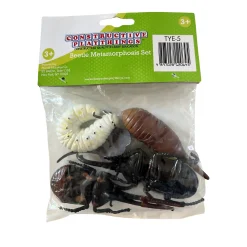 Beetle Life Cycle Figurines