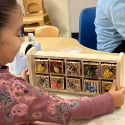 Bug Hotel 10-Frame Wooden Counting Toy | Nature-Inspired Math Learning Set with 10 Bug Cubes