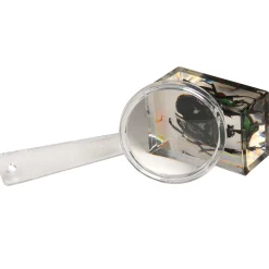 Bugs World Collection | 12 Encased Real Insects with Magnifying Glass