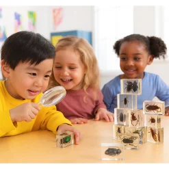Bugs World Collection | 12 Encased Real Insects with Magnifying Glass