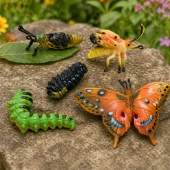 Butterfly Life Cycle Figurines