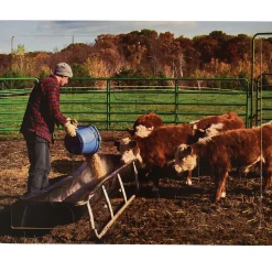Career Puzzle - Farmer