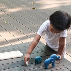 Chunky Animal Puzzle Set | Eco-Friendly, Multi-Purpose Learning Toy