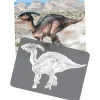 Dinosaur Picture Cards & X-Rays