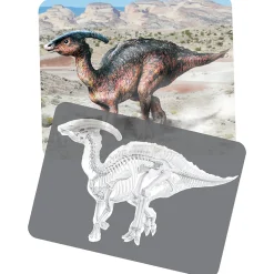 Dinosaur Picture Cards & X-Rays