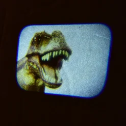 Dinosaur Projector