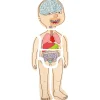 Discover Your Body Puzzles
