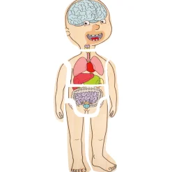 Discover Your Body Puzzles