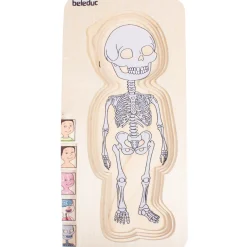 Discover Your Body Puzzles