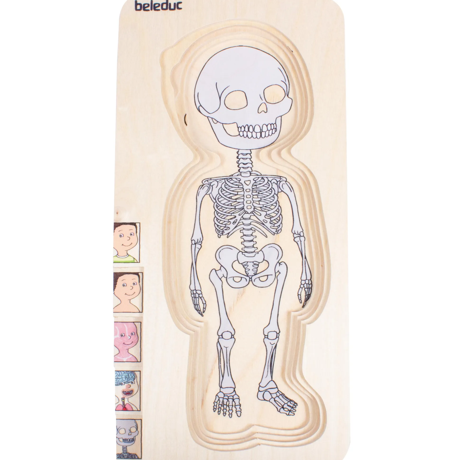 Discover Your Body Puzzles