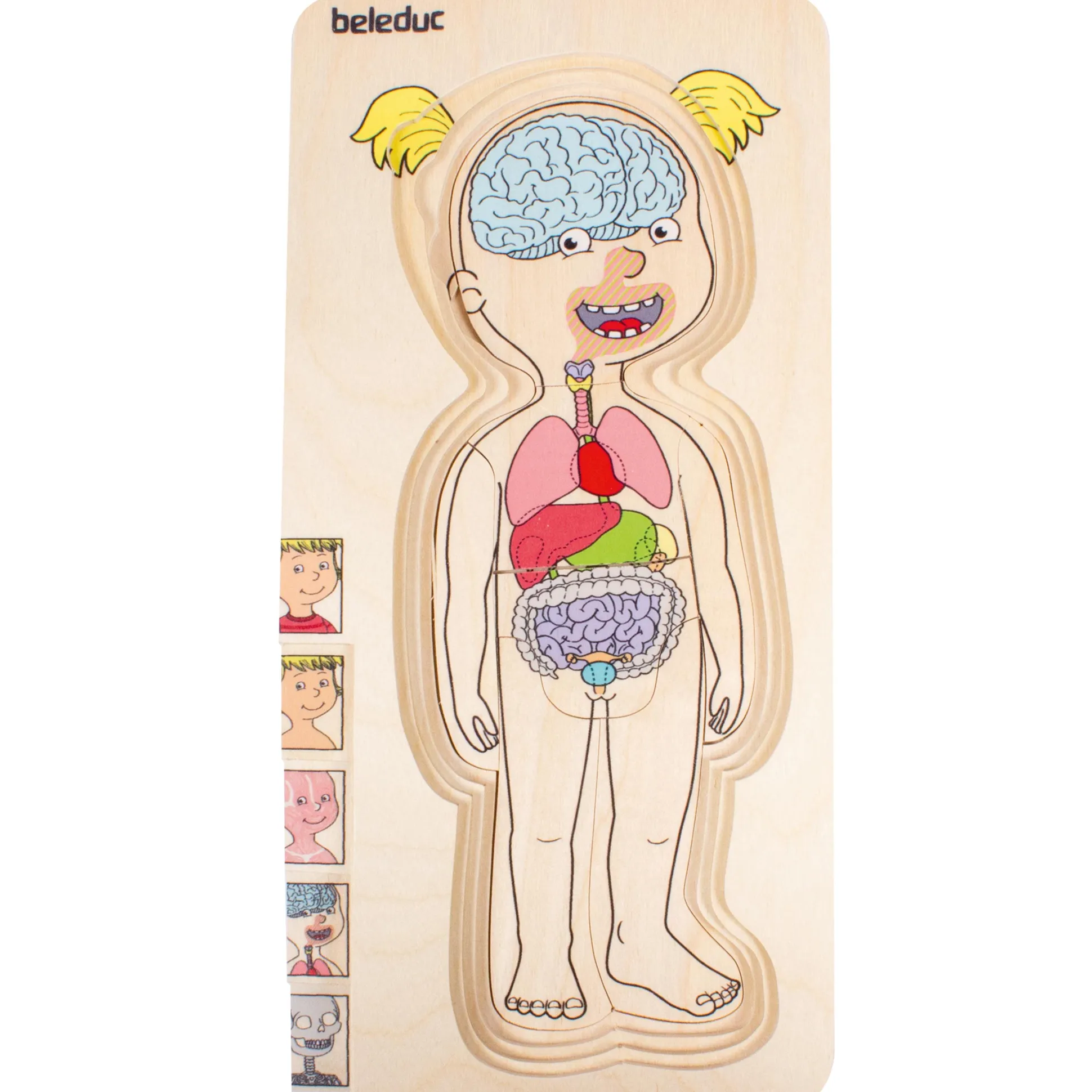 Discover Your Body Puzzles