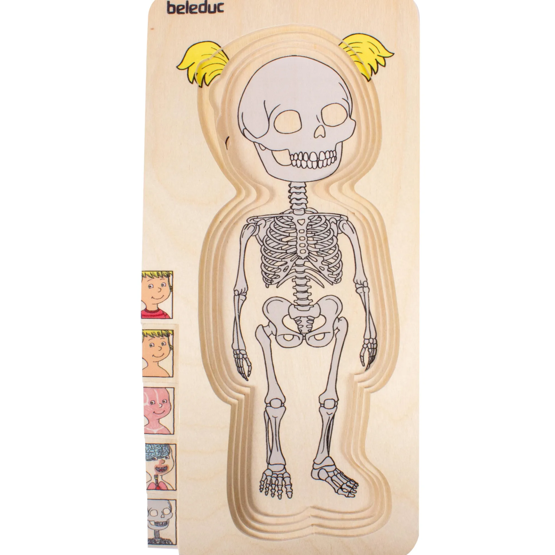 Discover Your Body Puzzles