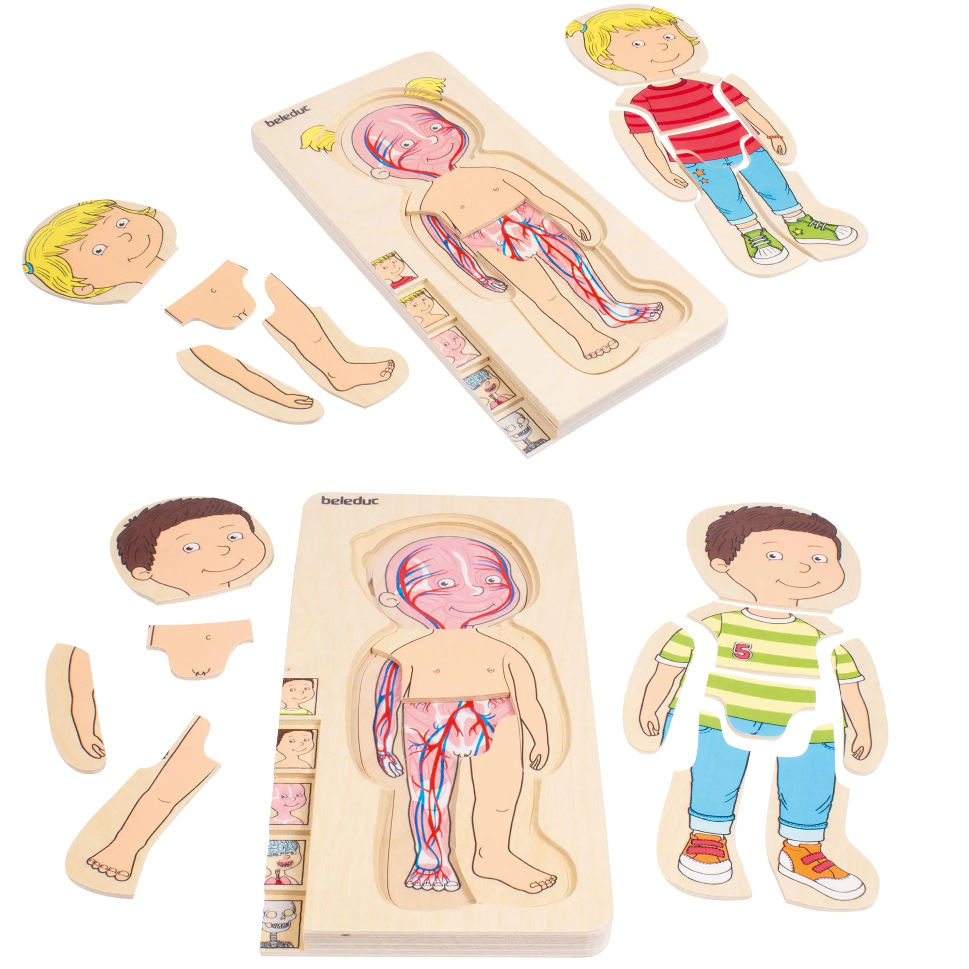 Discover Your Body Puzzles