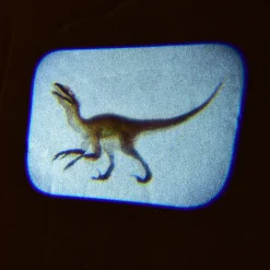 Discovery Projectors / Series 2