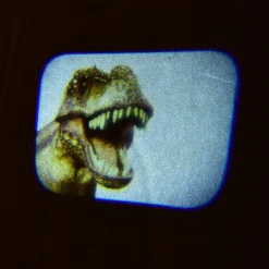 Discovery Projectors / Series 2