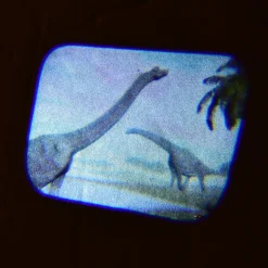 Discovery Projectors / Series 2
