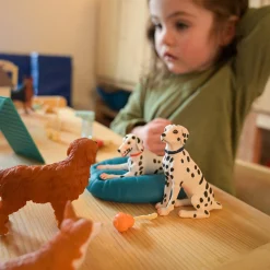 Dog Training Playset – 50-Piece
