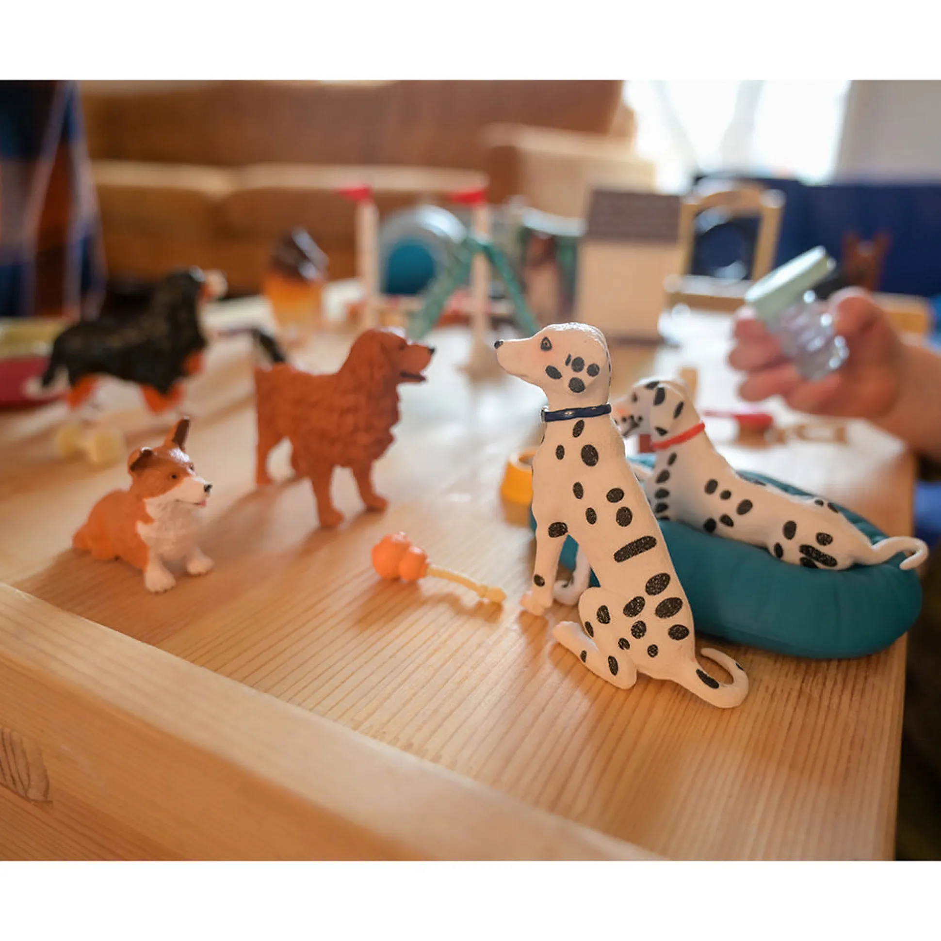 Dog Training Playset – 50-Piece