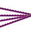Dragon Purple Scales Bulletin Board Border Trim