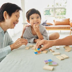 Eco-Friendly Wooden Emotion Dominoes