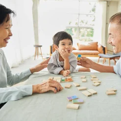Eco-Friendly Wooden Emotion Dominoes