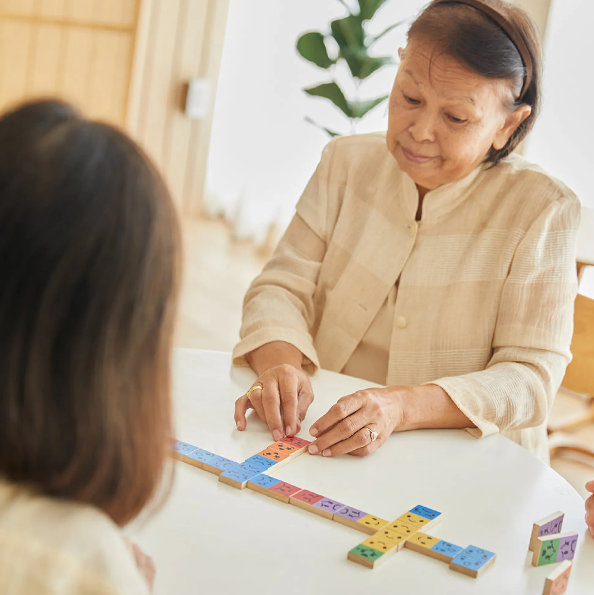 Eco-Friendly Wooden Emotion Dominoes