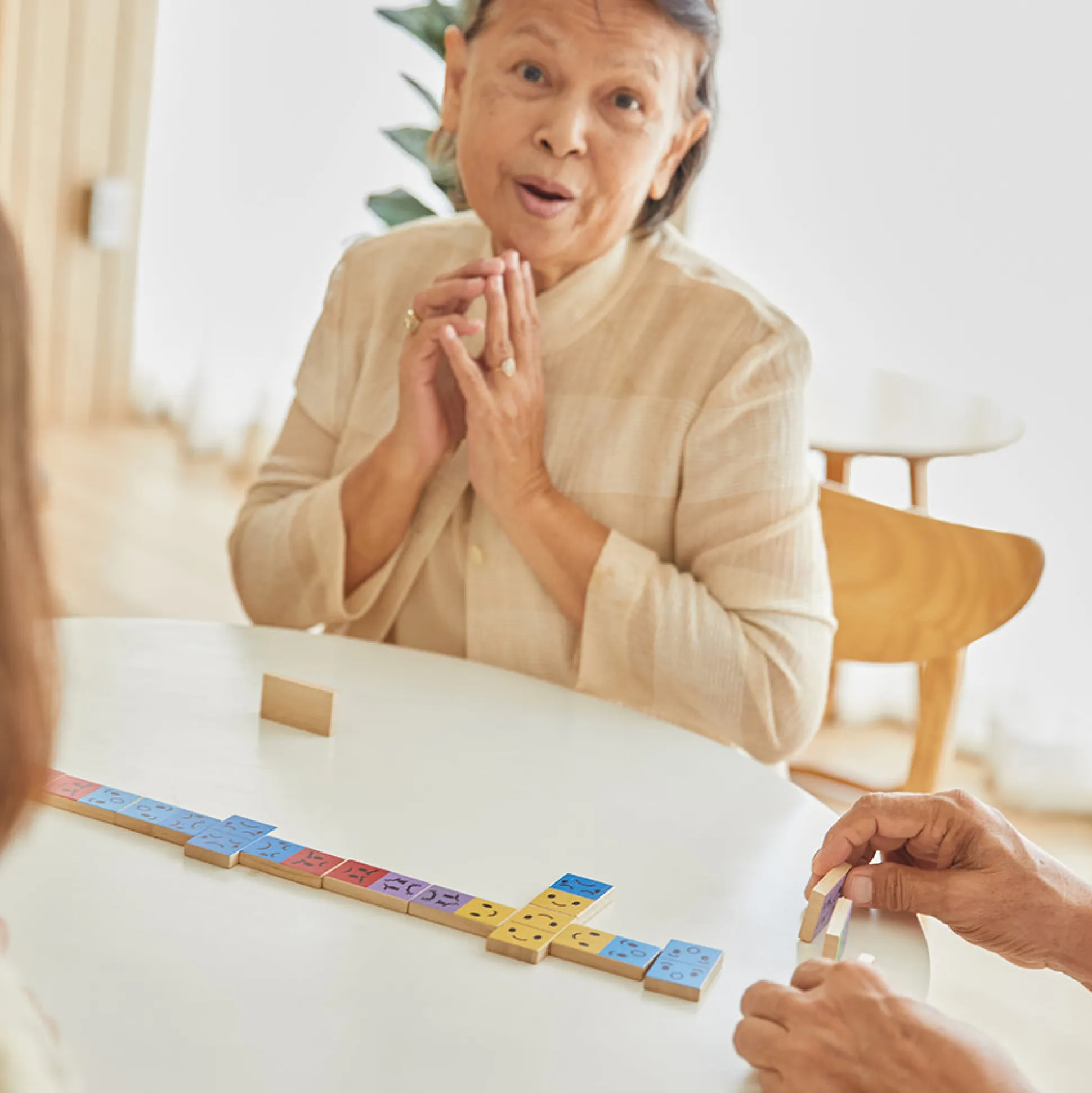 Eco-Friendly Wooden Emotion Dominoes