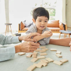 Eco-Friendly Wooden Emotion Dominoes