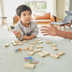 Eco-Friendly Wooden Emotion Dominoes