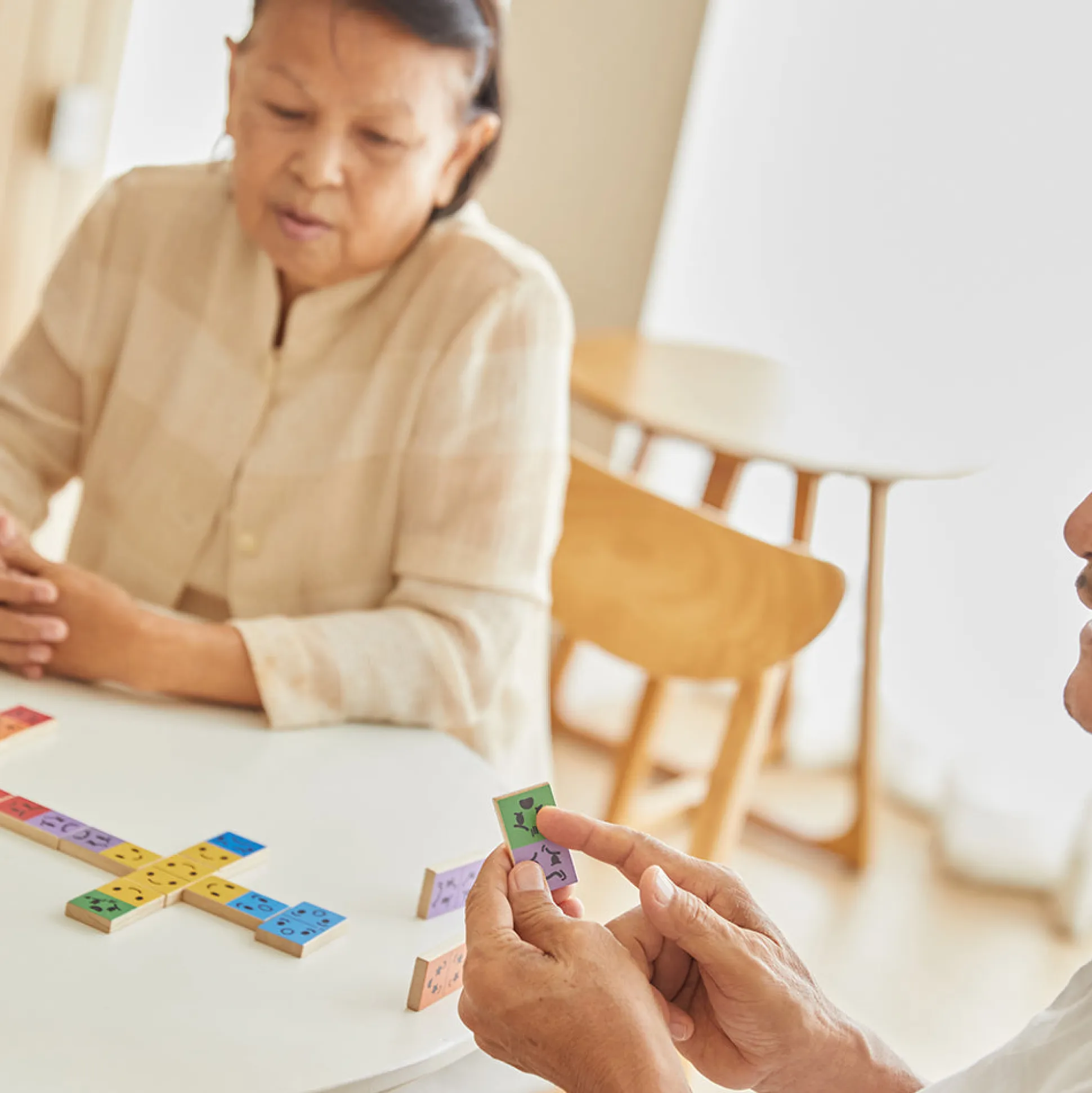 Eco-Friendly Wooden Emotion Dominoes
