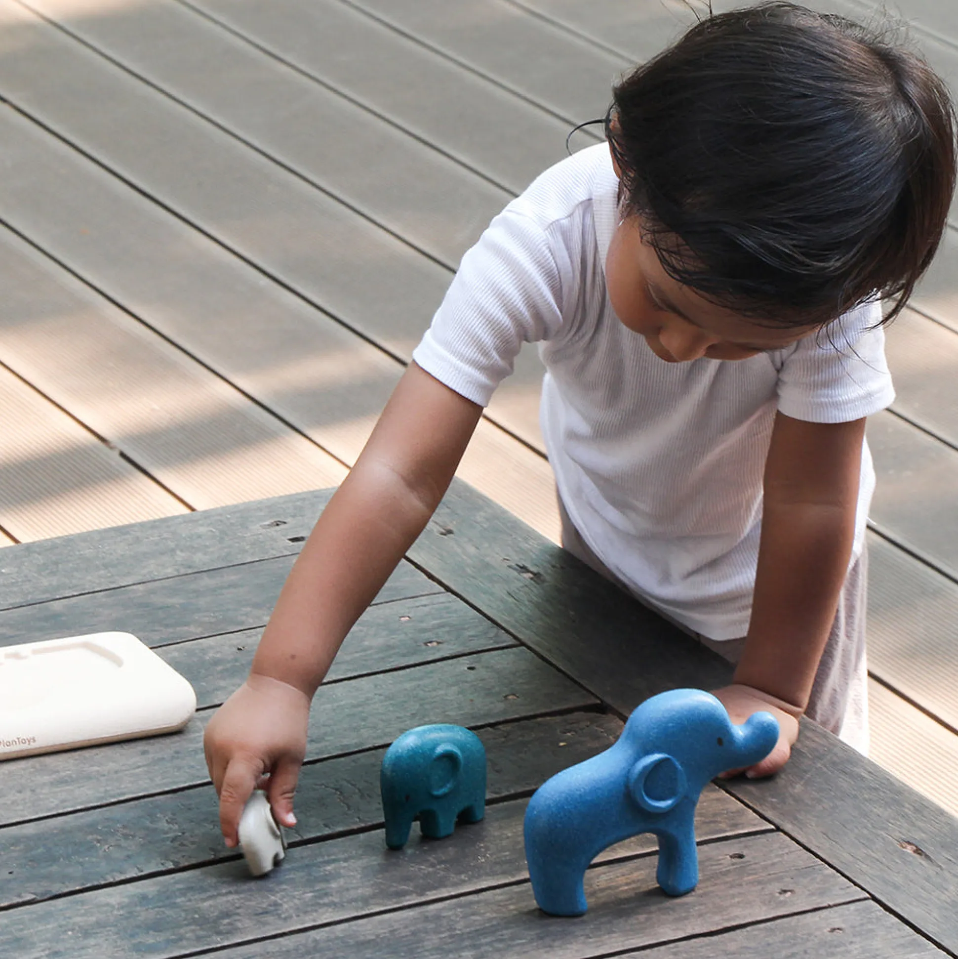 Elephant Puzzle