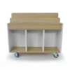 elevatED™ Mobile Book Storage Island | Book Browser with Vertical Display Rows & Deep Storage Compartments