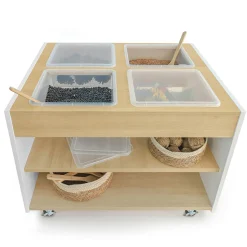 elevatED™ Mobile Sensory Table | Classroom Activity Table with Removable Trays