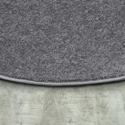 Endurance Oval Silver Area Rug
