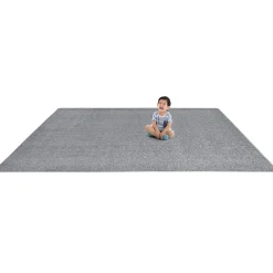 Endurance Rectangular Silver Area Rug
