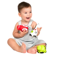 First Senses Pettinos Baby Animals