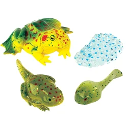 Frog Life Cycle Figurines | 4-Piece Educational Set