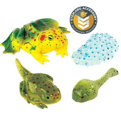Frog Life Cycle Figurines | 4-Piece Educational Set