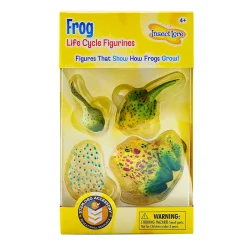 Frog Life Cycle Figurines | 4-Piece Educational Set