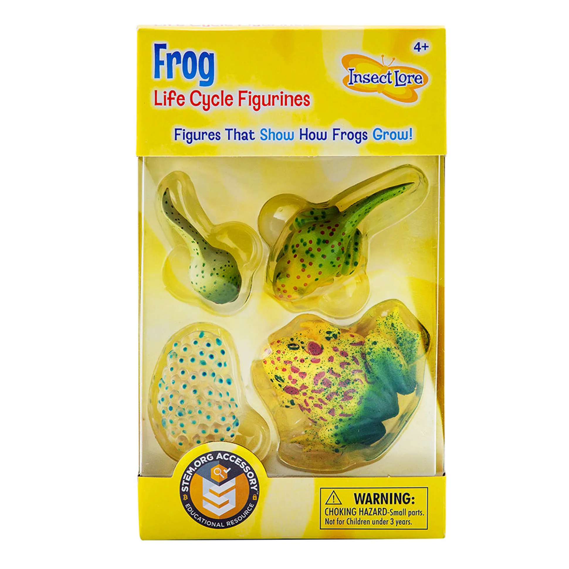 Frog Life Cycle Figurines | 4-Piece Educational Set