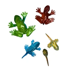 Frog Life Cycle Figurines – 5 Piece Set