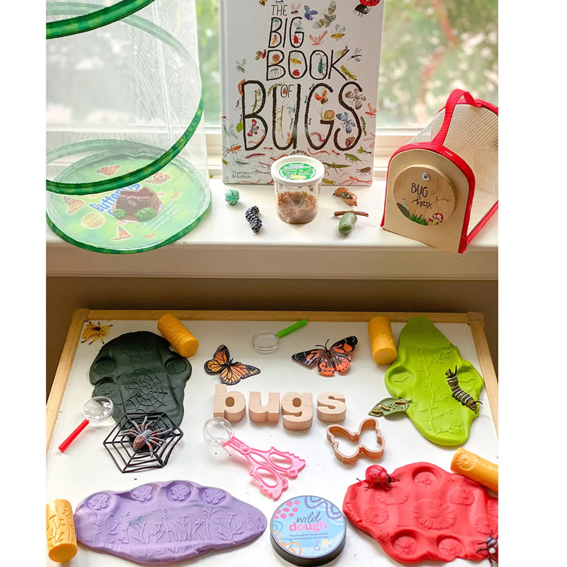 Giant Butterfly Garden® Kit | Includes Habitat, Caterpillars, and Guide