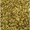 Glitter 1 pound Jar - Gold