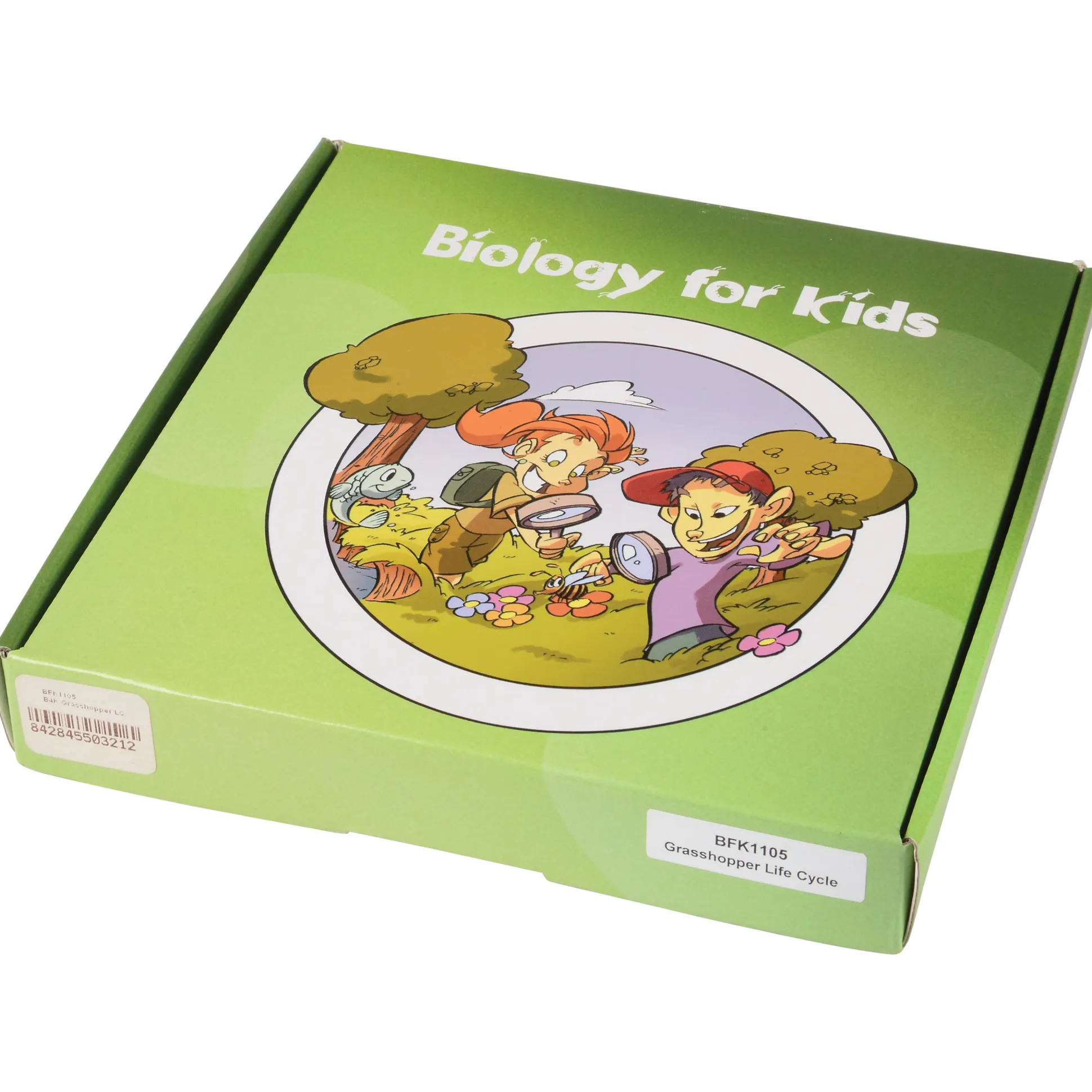 Grasshopper Life Cycle Discovery Set | 5-Piece Educational Model with Guide