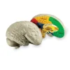 Human Brain Cross Section Model - Soft Foam